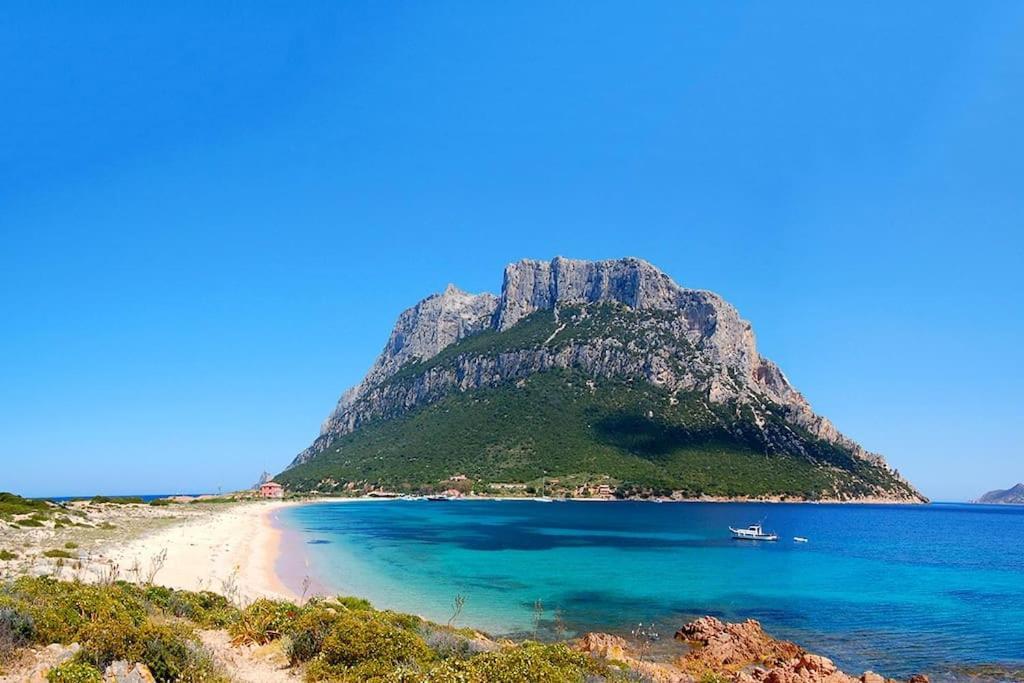 Apartment Smeralda Sea View - Luxury Olbia